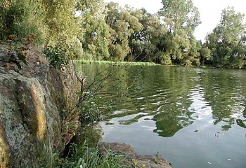 Bohušice
