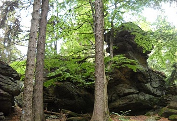 Svratouch