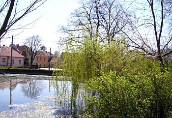 Dešov