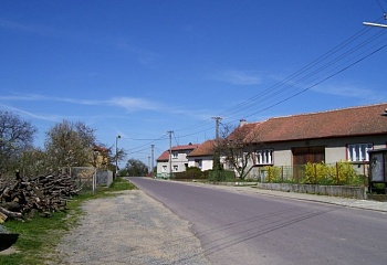 Kojatice