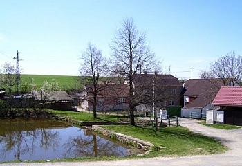 Kojatice