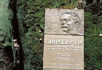 Sosnová