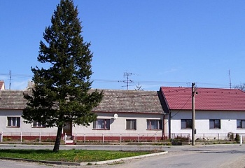 Láz