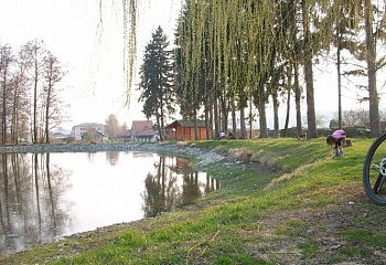 Vikýřovice