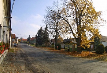 Slatina