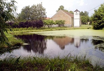 Studená
