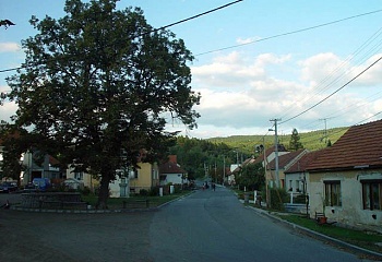 Závist