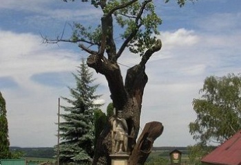 Stochov