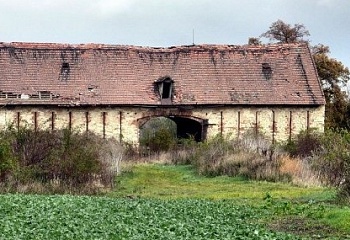 Třebusice