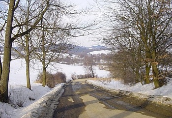 Vlksice