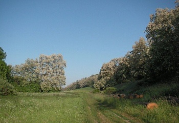 Zákolany