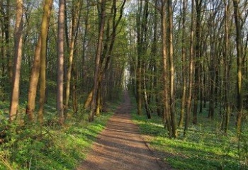 Kostelec u Holešova