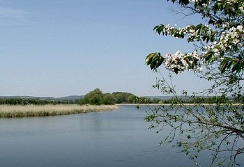 Branišovice