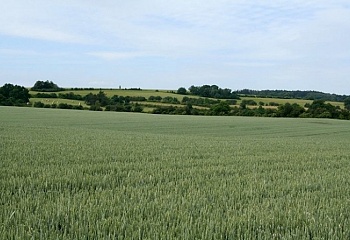 Břežany I