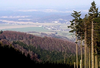 Skorošice