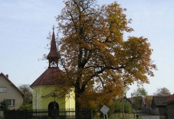 Olešná