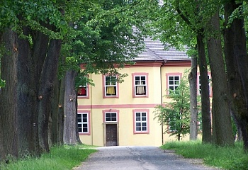 Pohled