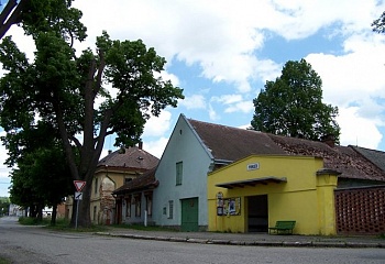 Pohled