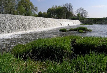 Cvrčovice