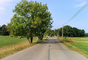 Boharyně