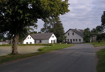 Skorkov