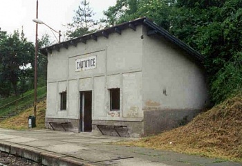Chotutice
