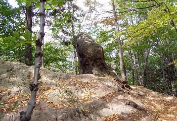 Přílepy