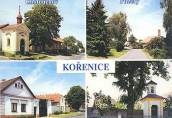 Kořenice