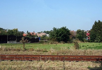Kořenice