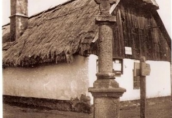 Minice