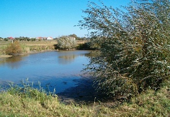 Krakovany