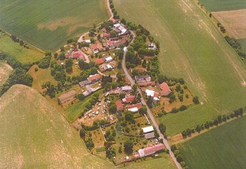 Křečhoř