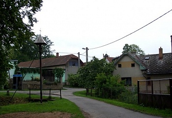 Úhořilka