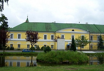 Věž