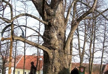 Římov