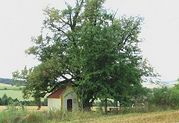 Radkovice