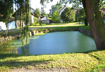 Lošany