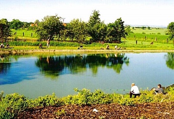 Němčice