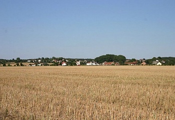 Petkovy