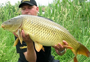 Rabakov