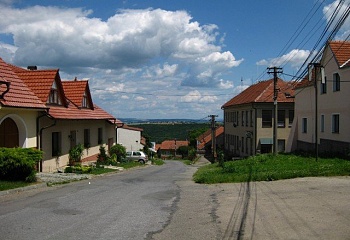 Javůrek