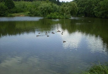 Příbram na Moravě