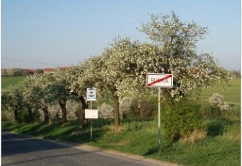 Rudka