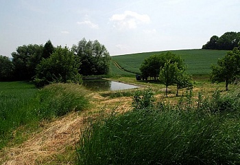 Hoštice