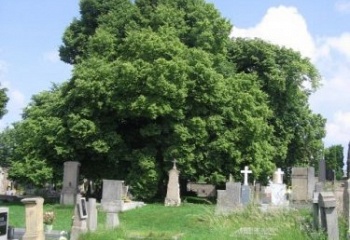 Ohaře