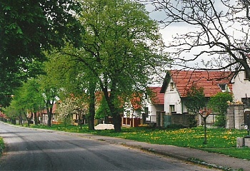 Ohaře