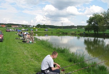 Ohaře