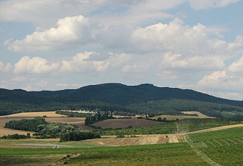 Jarohněvice