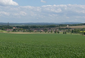 Rakovice
