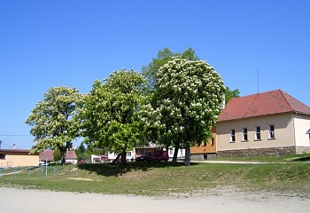 Hartvíkovice